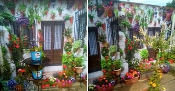 For A Perfect Optical Illusion, This Woman Fakes a More Exotic Garden With £10 Shower Curtain
