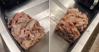 Passengers Disgusted As Raw Meat Comes Out At Baggage Claim