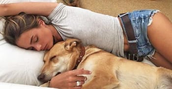 New Study Finds Women Sleep Better Next To Dogs Than Men