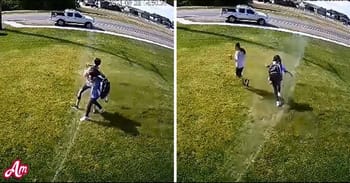 TikTok Slams Man Over Controversial Method Of Stopping People Walking On His Lawn
