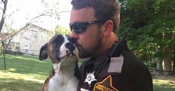 Dog Abandoned By Owners In A Park Is Adopted By A Kind Police Officer Who Rescued Her