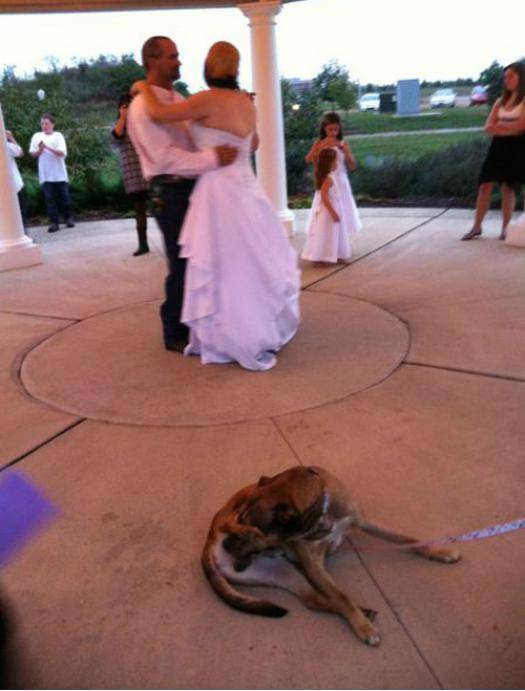 The groom was thinking, if he could do that he would never have gotten married