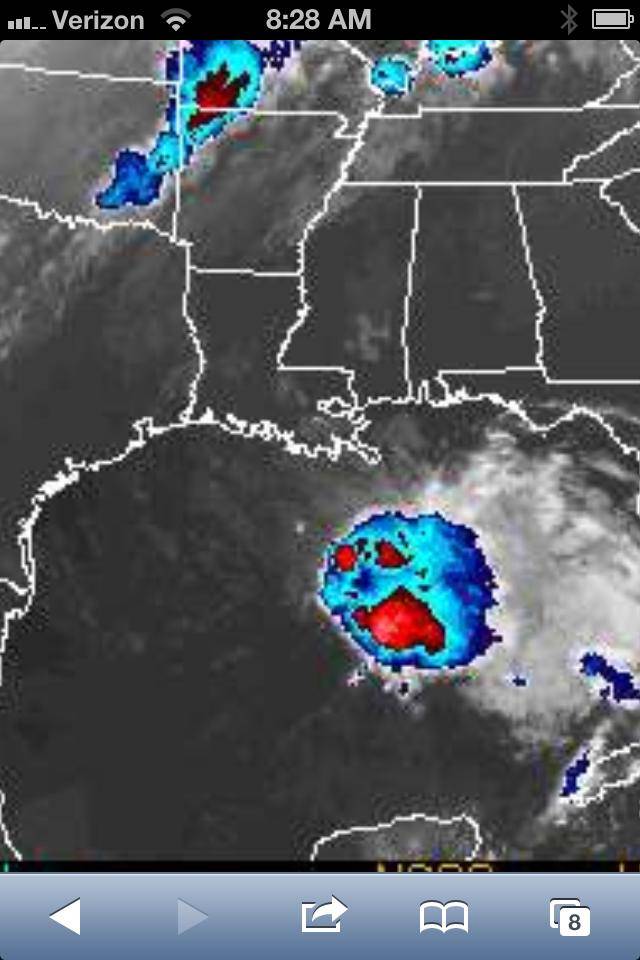 Radar is show what appears to be a angry blueberry over the gulf