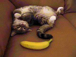 Unexpected Banana