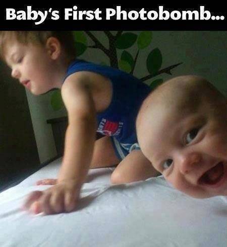 Baby photobomb