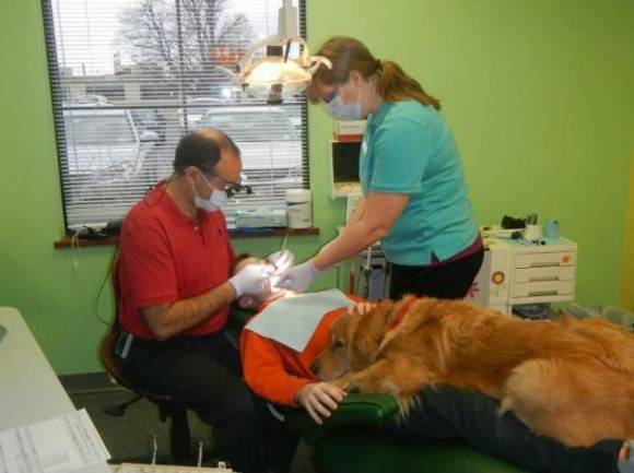 Saw this on Facebook, dog helps little boy get over his fear at the dentist.