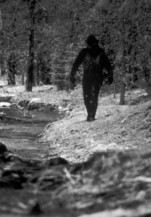Big Foot mystery unveiled through DNA tests