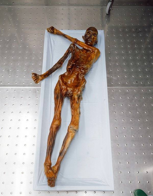 Ötzi's curse- The oldest mummified remains of any human