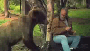Over manly man deals with bear trying to steal his food