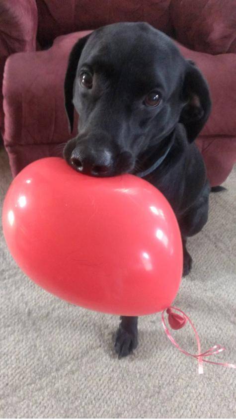 He popped the first two. Now he carries this one very gently.