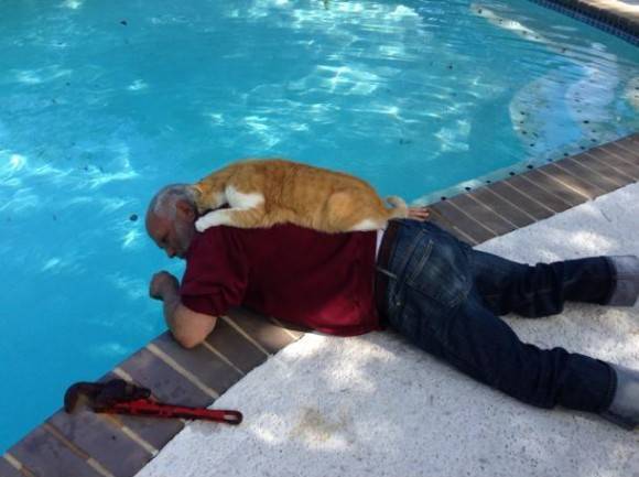 My dad fixing the pool. His cat likes to help.