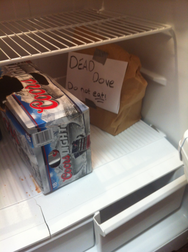 Someone left this in my fridge after a party last night. I'm afraid to open it.