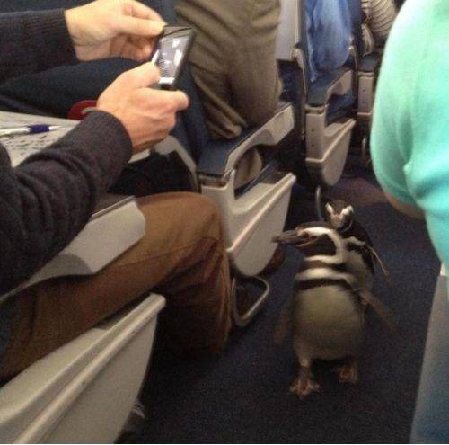 just smile and wave boys, smile and wave.