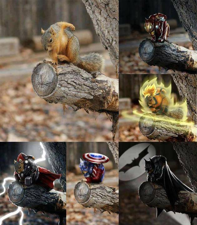 Super Squirrel