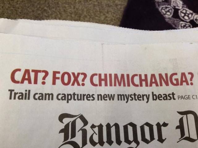 I think they meant chupacabra..
