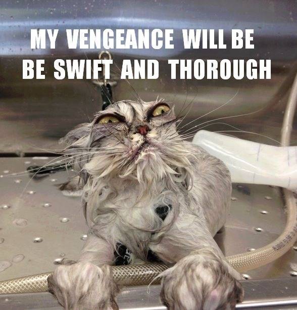 Vengeance shall be mine!