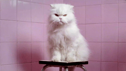 When I like a song by an artist I hate