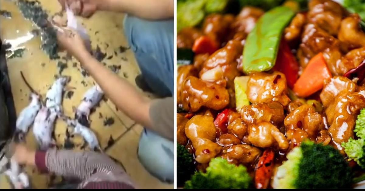 Chinese Cooks Laugh Heartily As They Skin And Cook Rats ThatViralFeed