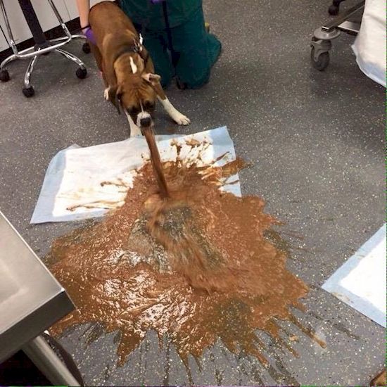 Disturbing Pictures That You Can’t Unsee ThatViralFeed