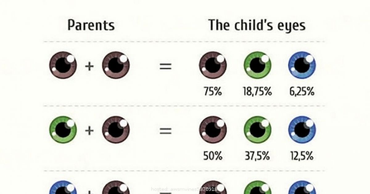 Как узнать какой цвет глаз. Генетика цвет глаз наследование таблица. Наследование цвета глаз от родителей таблица. Цвет глаз родителей и детей. Цвет глаз.