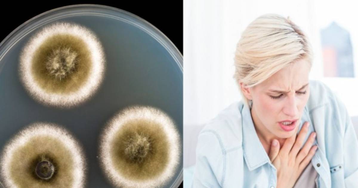17 Signs Of Mold Illness (And How To Tell If You’re At Risk