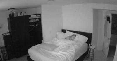 This Woman Turned Her Lights Off For Bed But Was Awoken By Something Sinister