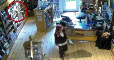 Historical Center Staffer Is Petrified As Leaflets Fly Off Of Shelves - Was It A Ghost?