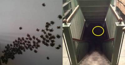 12 Creepy Things That Will Give You A Mini Heart Attack