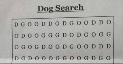 This Is Being Called The Hardest Wordsearch Ever
