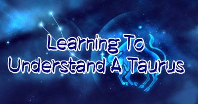 Learning To Understand A Taurus