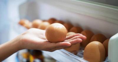 This Is Why You Should Never Store Eggs In The Fridge Door