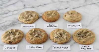 These Baking Charts Will Turn You Into A Pro In The Kitchen