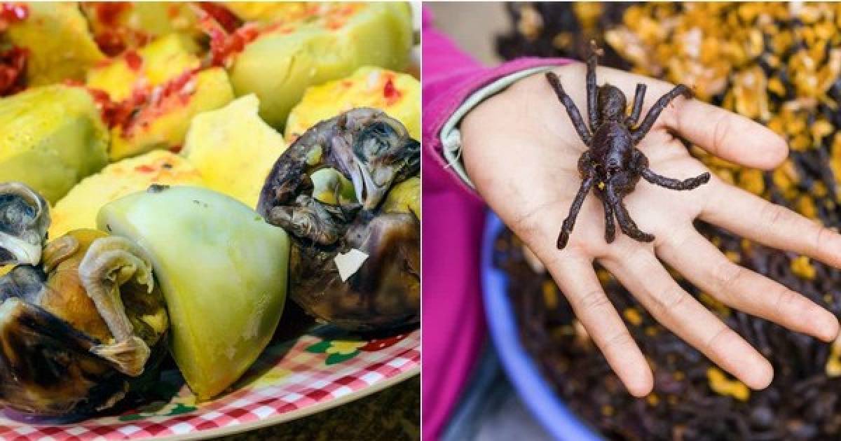 10 Weird Foods From Around The Globe