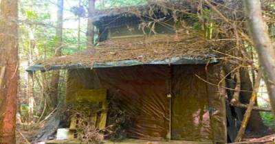 Forest Ranger Finds A Mysterious Cabin In California’s Arcata Community Forest With A Huge Surprise Inside