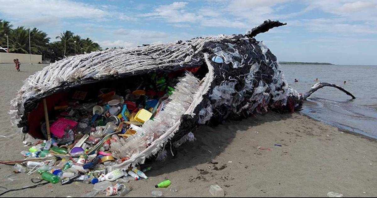 Plastic Pollution Taking Its Toll, A Haunting "Dead Whale" Washes Up On The Sea Shore In Manila