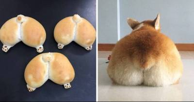 Adorable Jam And Custard Filled Corgi Butt Buns That Are Too Cute To Eat