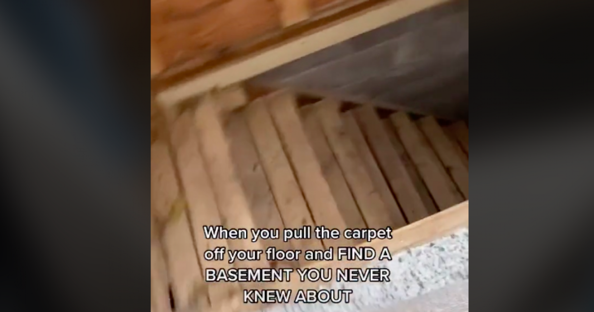 Woman Discovers 'Creepy Basement' She Never Knew Existed Below Her Carpet