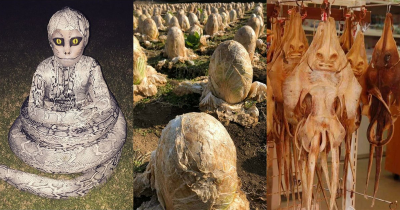 New Challenge: Get Through This Post Without Being Creeped Out.