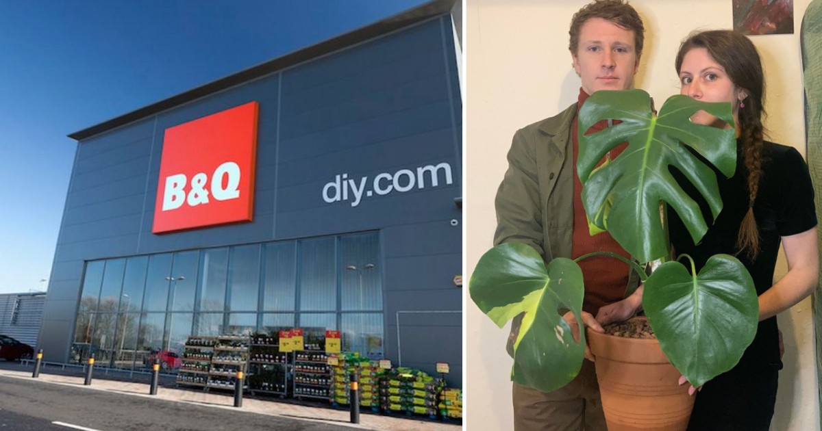 Lucky Couple Purchased A £12 Plant Which They Later Found Was 'Rare' - And Its Leaves Are Worth £170 Each.