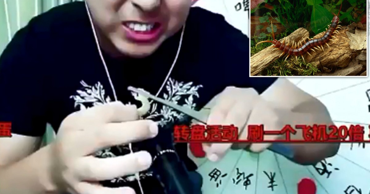 Vlogger Dies Live-Streaming Himself Eating Poisonous Centipedes And Geckos