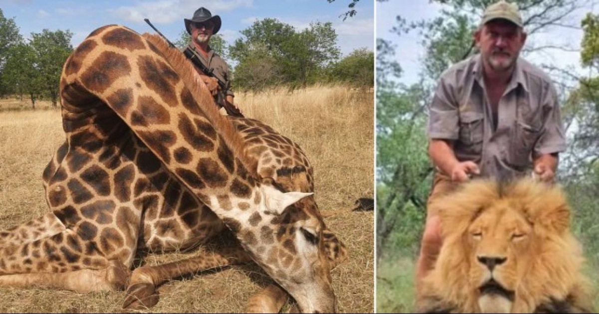 Wildlife Trophy Hunter Shot Dead In South Africa