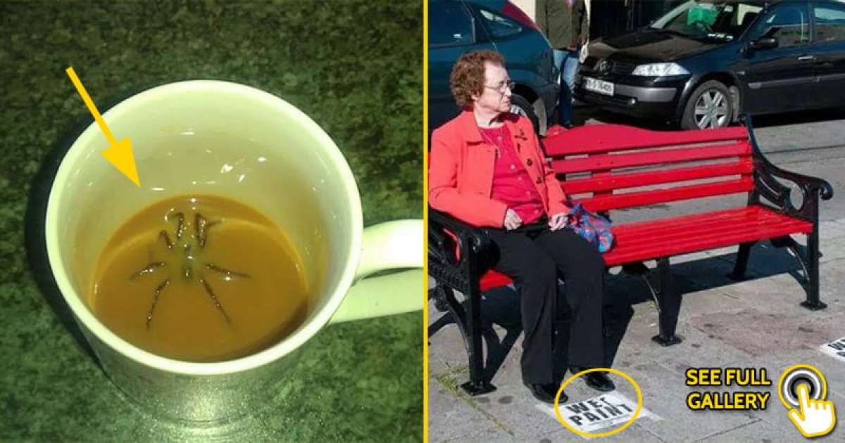 25 People Who Are Definitely Having A Day Much Worse Than You