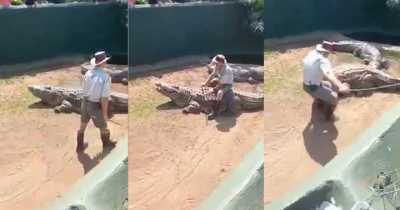Zookeeper Attacked By 16-foot Crocodile In Front Of Panicked Crowd