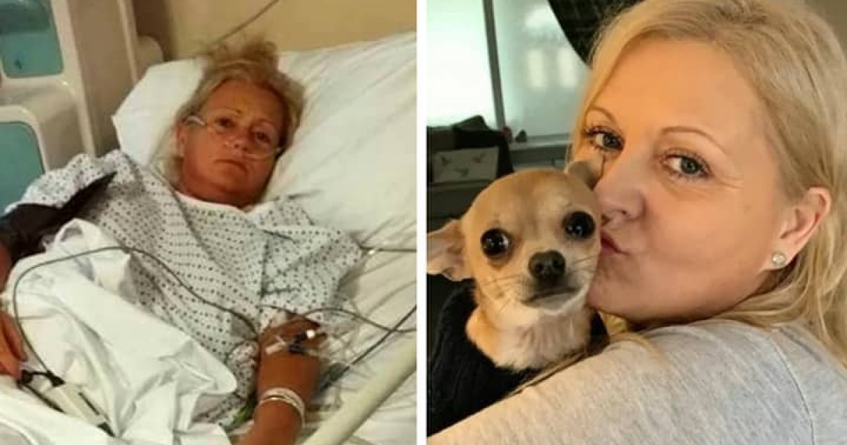 Dog-Lover Hospitalized After Chihuahua Defecated On Her Face As She Slept With Her Mouth Open