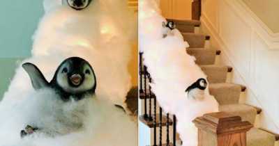Ditch The Garland And Turn Your Staircase Into A Snowy Penguin Slide