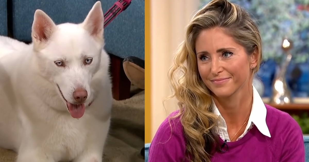 Woman Adamant Her Dog Is A Vegetarian Proven Wrong On Live TV