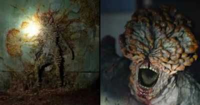 Mycologist Reveals Fungus Is Only Three Steps Away From Making The Last Of Us A Reality