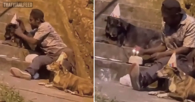 A Video Has Gone Viral Showing A Homeless Man Throwing A Birthday Party For His Dogs