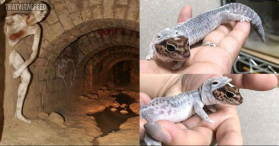 40 Of The Creepiest Tweets From This Dedicated "Creepy" Twitter Account