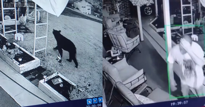 Wild Video Shows Man Being Attacked By Bear In His Own Garage